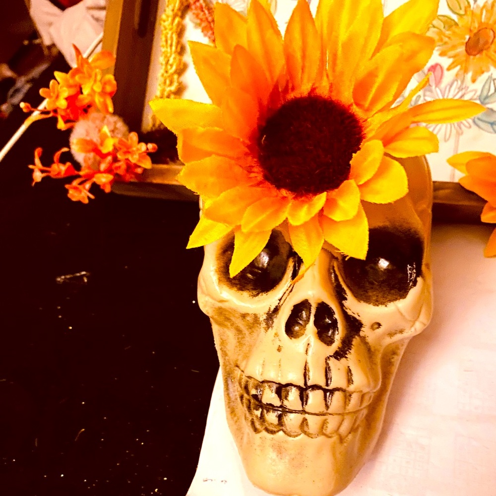 scull #Sunflower